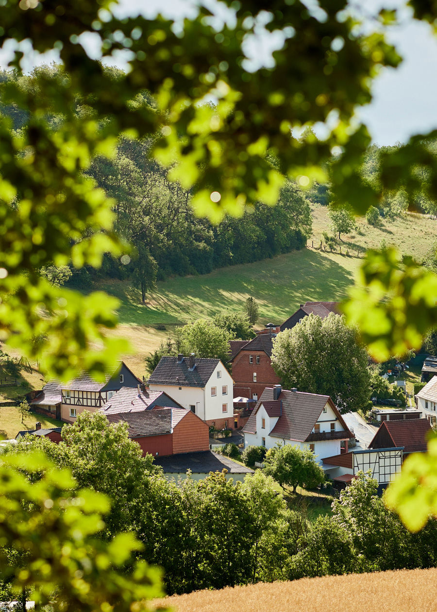 pn-new_entwicklung_alteschule_1